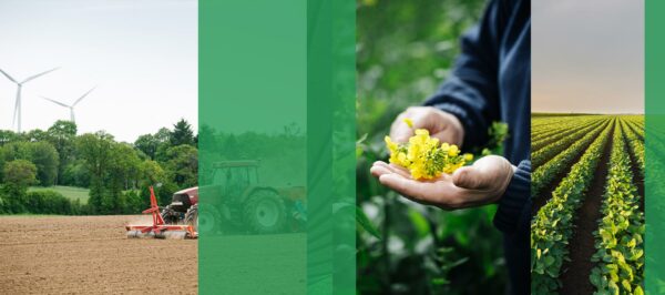 Agriculture Solutions - Olmix