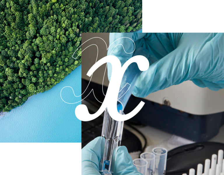 Olmix — Innovative biosourced solutions for a smart and sustainable ...